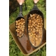 FOX - Zakrmovacia lopatka Large Baiting Spoon