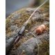 FOX - Závesky Edges Tubing Leadclip Ready Rigs Naturals veľ. 7 3 ks