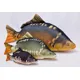 GABY PILLOWS - Vankúš Kapor Giant Lysec 90 cm