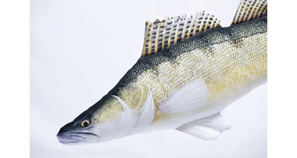 GABY PILLOWS - Vankúš Zubáč Všeobecný 75 cm