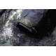 GEOFF ANDERSON - Bunda Barbarus 2 Lapwing Egg veľ. S