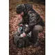 GIANTS FISHING - Chladiaca taška Thermo Cooler Bag