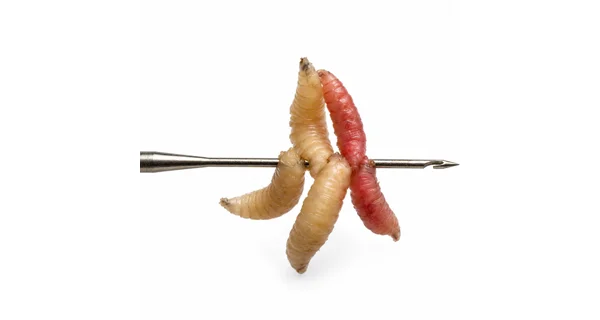 GIANTS FISHING - Ihla na červy Maggot Needle 0,74 mm