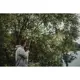 GIANTS FISHING - Kaprový prút Luxury FC 3 m 3 lb 2 diely