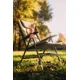 GIANTS FISHING - Kreslo Chair Deluxe FX + Transportná taška!