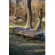 GIANTS FISHING - Lehátko + spací vak Bedchair/Sleeping Bag System RWX 5 STD