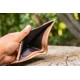 GIANTS FISHING - Peňaženka hnedá plávajúci kapor Brown Wallet Swimming Carp