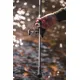 GIANTS FISHING - Prút Deluxe BX Carp 2,7 m 3 lb 2 diely