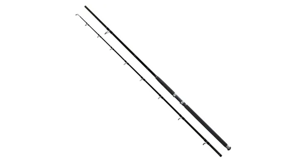 GIANTS FISHING - Prút Deluxe Catfish 2,9 m 500 g 2 diely