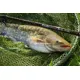 GIANTS FISHING - Prút Gaube Medium Method Feeder 12 ft 40-90 g 3 diely
