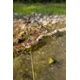 GIANTS FISHING - Prút XRS180 2,75 m 3 lb 2 diely