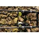 GIANTS FISHING - Prút XRS180 2,75 m 3 lb 2 diely