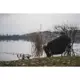 GIANTS FISHING - Sedačka Moon Chair Deluxe + prepravná taška