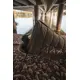 GIANTS FISHING - Spací vak 5 Season Extreme XS Sleeping Bag