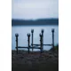GIANTS FISHING - Stojan Black Rod Pod 3 Rods