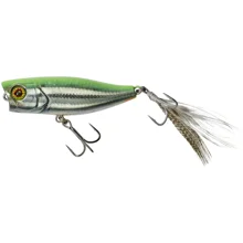 ILLEX - Popper Chubby 4,2 cm 3,3 g RT Visible Roach