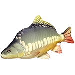 Plyšové ryby a vankúše