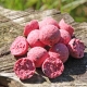 IMPERIAL BAITS - Boilies Carptrack Extra Strong Uncle Bait 20 mm 1 kg
