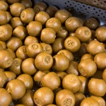 IMPERIAL BAITS - Boilies Carptrack LPP 20 mm 1 kg