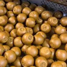 IMPERIAL BAITS - Boilies Carptrack LPP 24 mm 1 kg