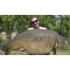 IMPERIAL BAITS - IB Carptrack Big Fish Boilie 24 mm 2 kg