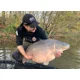 IMPERIAL BAITS - Mikina Monster's Paradise Mickev veľ. XL