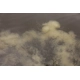 KAREL NIKL - Boilie Economic Feed Rape Cloud 24 mm 5 kg