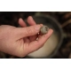 KAREL NIKL - Boilie Economic Feed Rape Cloud 24 mm 5 kg