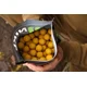 KAREL NIKL - Boilie Ready Corn 24 mm 1 kg