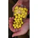 KAREL NIKL - Plávajúce boilies Citrus 16 mm 50 g