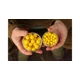 KAREL NIKL - Plávajúce boilies Corn 10 mm 20 g