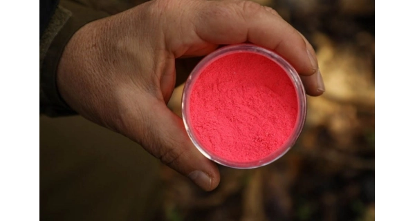 KAREL NIKL - Práškový dip Powder Dip Giga Squid 60 g