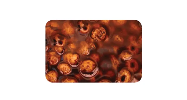KAREL NIKL - tigrí orech nakladaný fermentovaný KN 2 kg