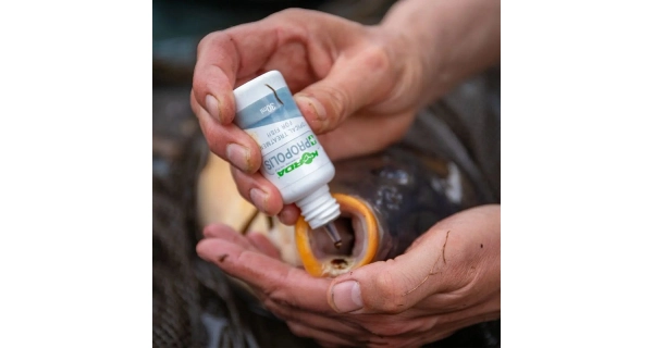KORDA - Sada na ošetrenie rýb Carp Care Kit