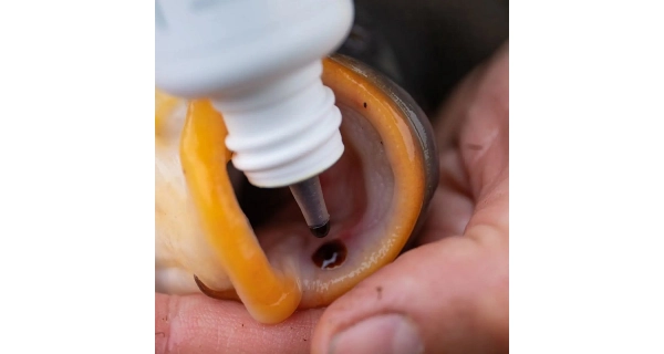 KORDA - Sada na ošetrenie rýb Carp Care Kit