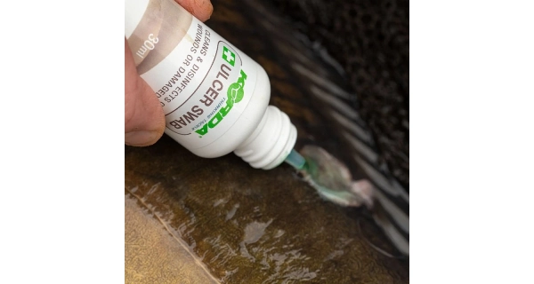 KORDA - Sada na ošetrenie rýb Carp Care Kit