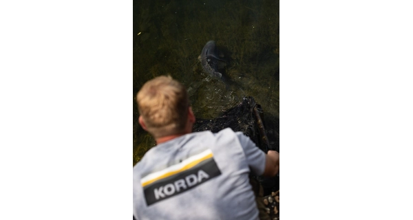 KORDA - Tričko Lakebed Tee Grey veľ. 4XL