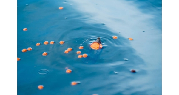 KORUM - Hladinový plavák Surface Feeder Float