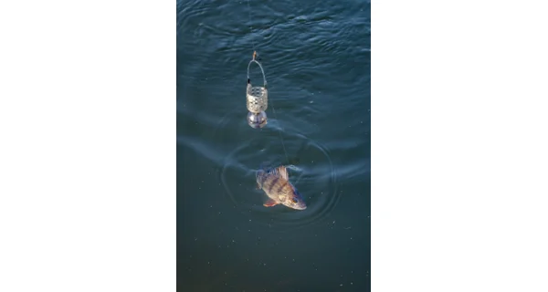 KORUM - Krmítko Slow Sinking Feeder Small