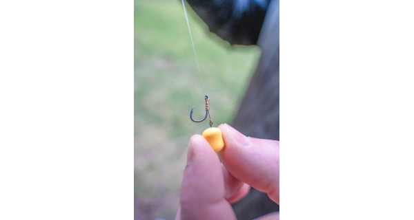 KORUM - Náväzec Bait Spike Hook Hairs Barbed veľ. 12 5 ks