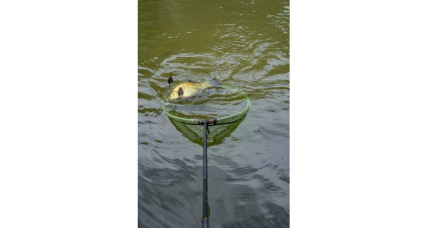KORUM - Podberáková tyč Allrounder Multi Handle 3 m