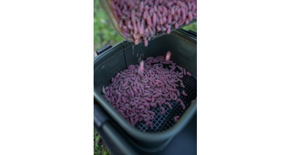 KORUM - Škatuľka na nástrahy Eva Bait Station