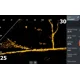 LOWRANCE - Sonda Activetarget 2