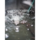 MADCAT - Skladací vedierko Foldable Live Bait Bucket 50 l