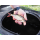 MADCAT - Skladací vedierko Foldable Live Bait Bucket 50 l