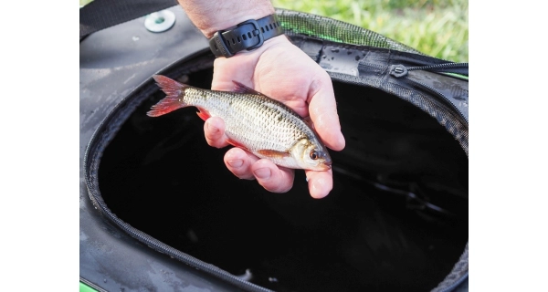 MADCAT - Skladací vedierko Foldable Live Bait Bucket 50 l