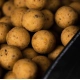 MAINLINE - Boilies Shelf Life Cell 20 mm 5 kg