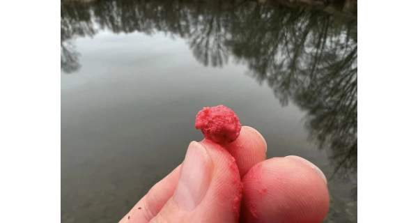 METHOD FEEDER FANS - Wafter Boilies Action Method Ananás 12mm 150ml