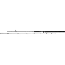 MIKADO - Prút Casting Bixlite Pike Master 2,40 m 30-105 g