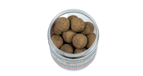 MIKBAITS - Vyvážené boilies Gangster Balance 20 mm 250 ml G20 Enigma